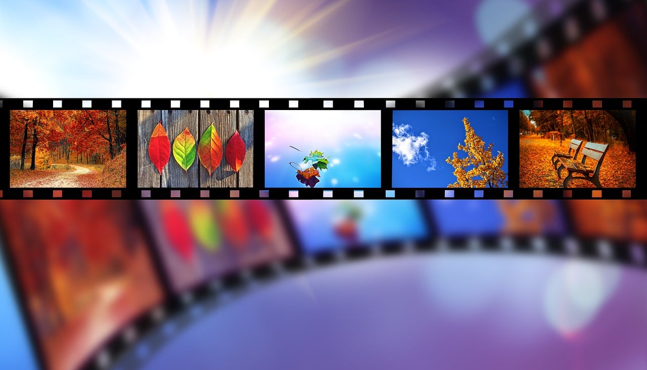 PRODUCTION ET DIFFUSION